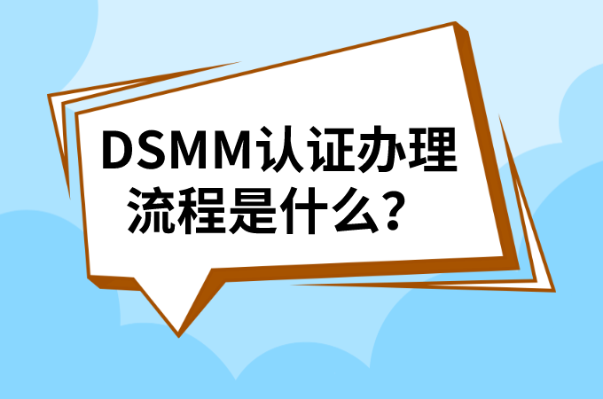 DSMM办理流程.png